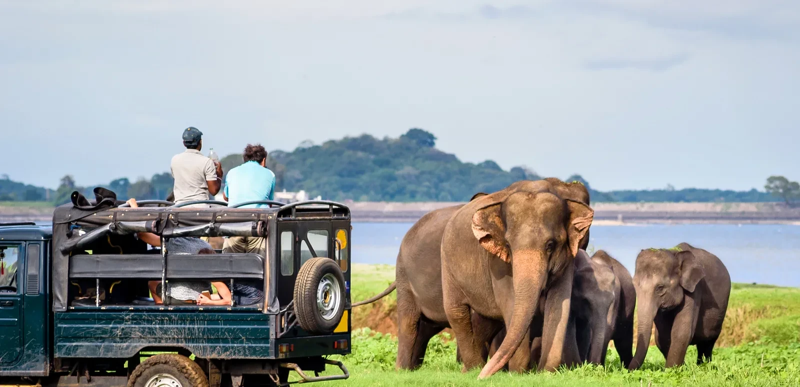 Yala National Park